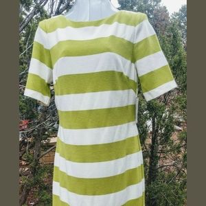 NWT Jessica H Women's Sz 12 Dress Green/White
